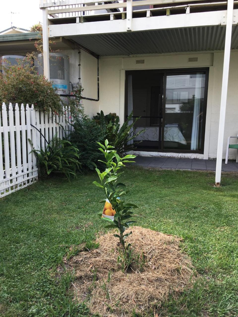Motel Telopea Court Merimbula Zewnętrze zdjęcie